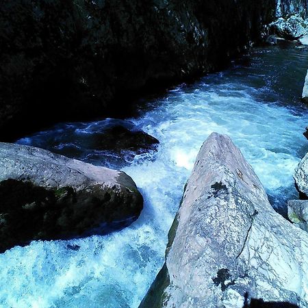 Odmaraliste Vlasko Zdrelo Pirot Ruang foto
