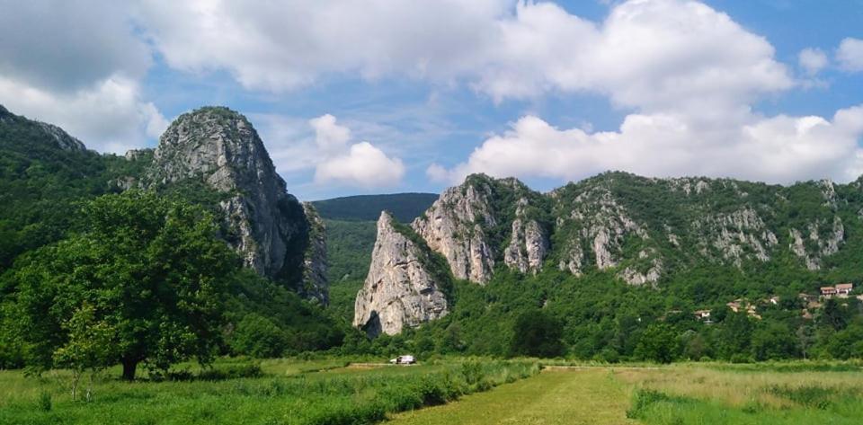 Odmaraliste Vlasko Zdrelo Pirot Bagian luar foto