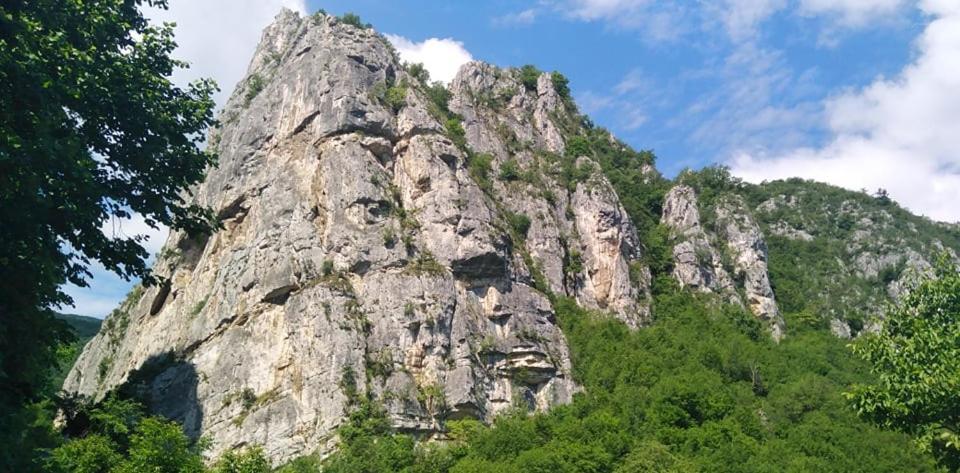 Odmaraliste Vlasko Zdrelo Pirot Bagian luar foto