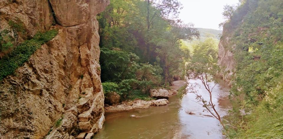 Odmaraliste Vlasko Zdrelo Pirot Bagian luar foto