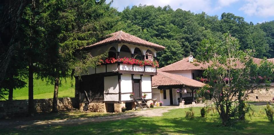 Odmaraliste Vlasko Zdrelo Pirot Bagian luar foto