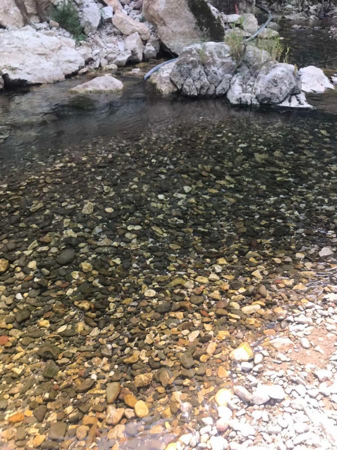 Odmaraliste Vlasko Zdrelo Pirot Bagian luar foto
