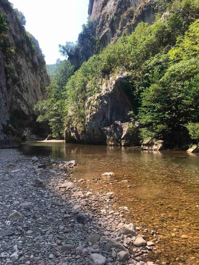 Odmaraliste Vlasko Zdrelo Pirot Bagian luar foto