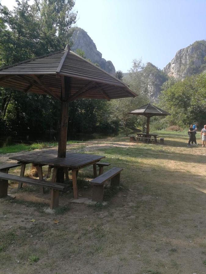 Odmaraliste Vlasko Zdrelo Pirot Bagian luar foto
