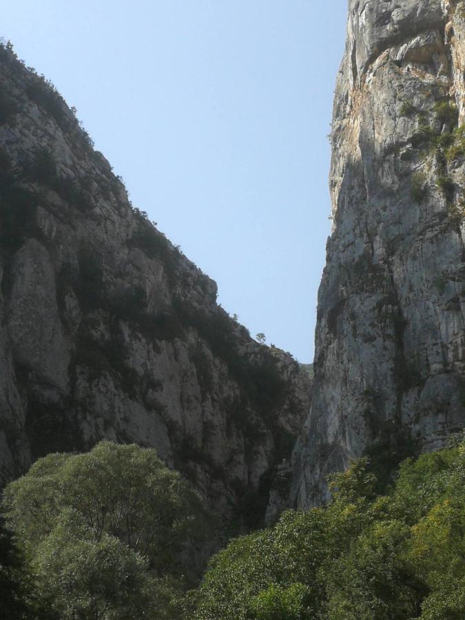 Odmaraliste Vlasko Zdrelo Pirot Bagian luar foto
